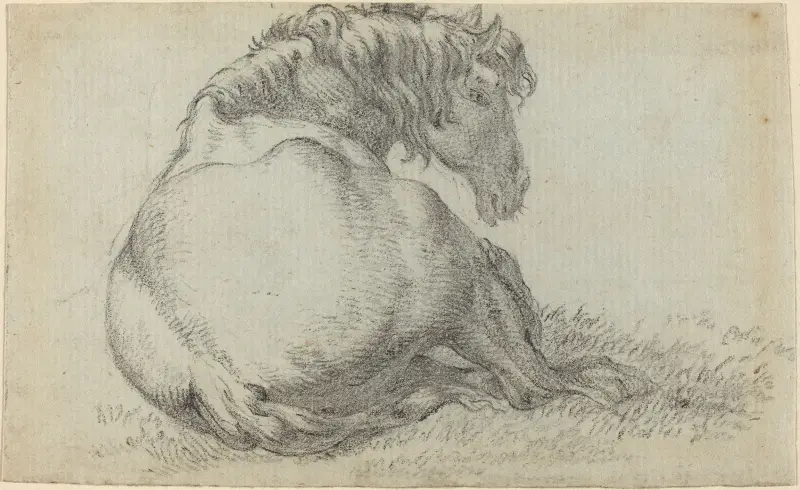 Ruhendes Pferd von Paulus Potter