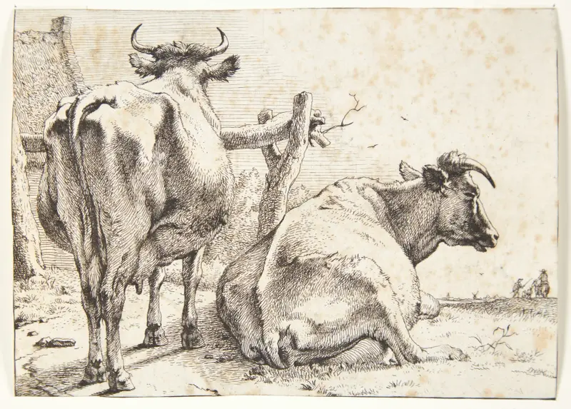 Dwie krowy widziane od tyłu, 1650 – nr 1, Paulus Potter