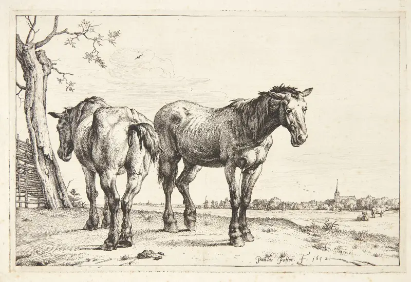 To pløjeheste av Paulus Potter