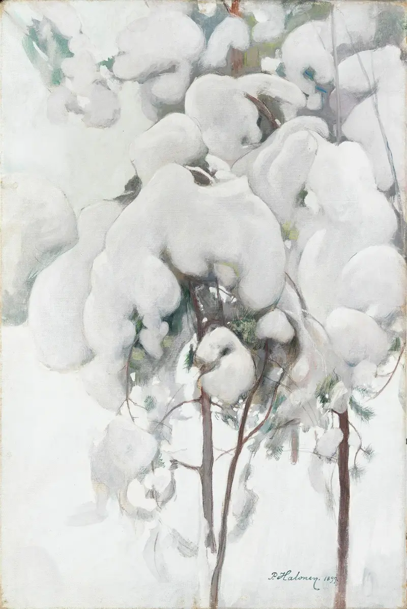 Zasněžené borové sazenice, Pekka Halonen
