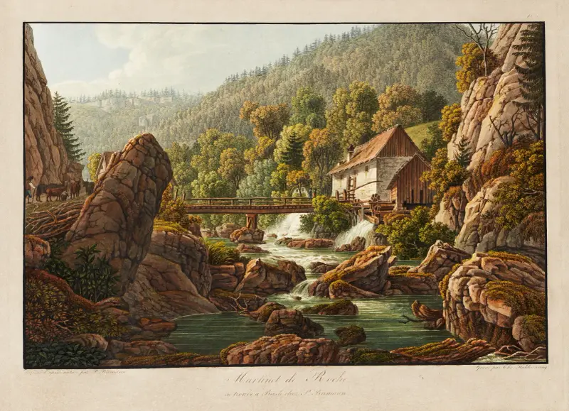 Martinet de Roche, Peter Birmann