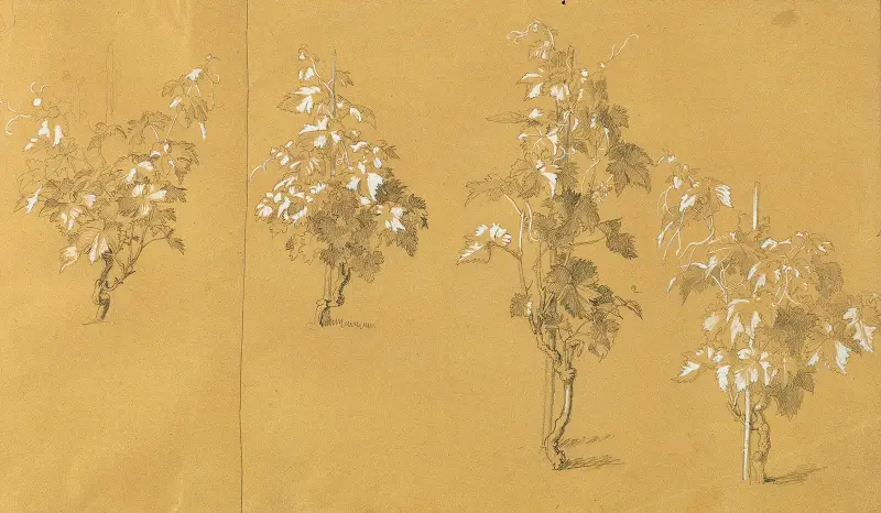 Weinstock, Studie zu ‘Hermann und Dorothea im Weinberg’ av Johann Peter Krafft