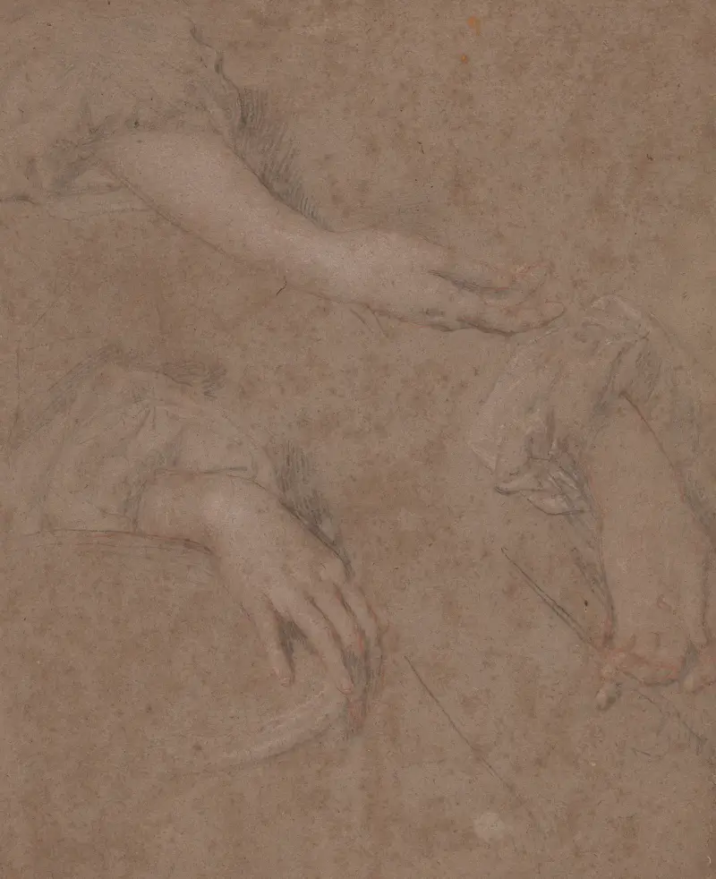 Drawings of Hands – nr 5 av Sir Peter Lely