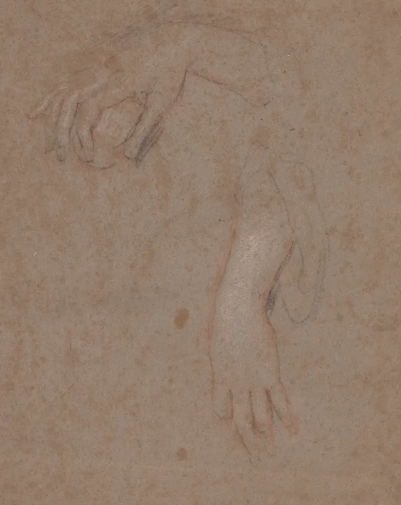 Drawings of Hands – nr 8 av Sir Peter Lely