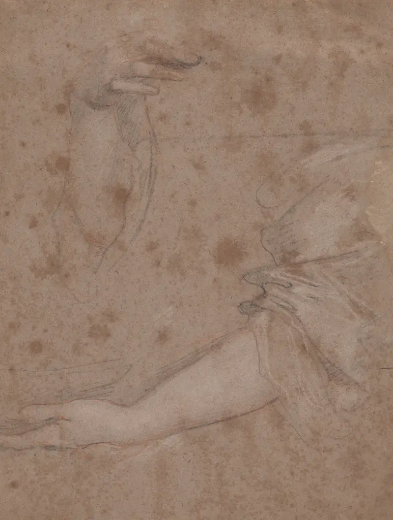 Drawings of Hands – nr 9 av Sir Peter Lely