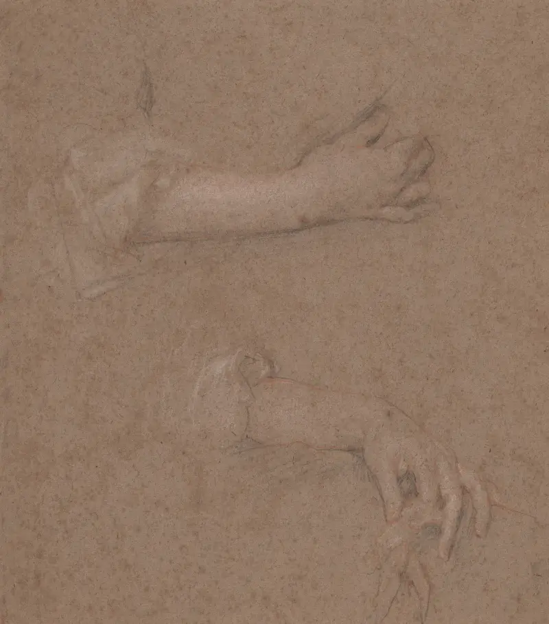 Drawings of Hands – nr 1 av Sir Peter Lely