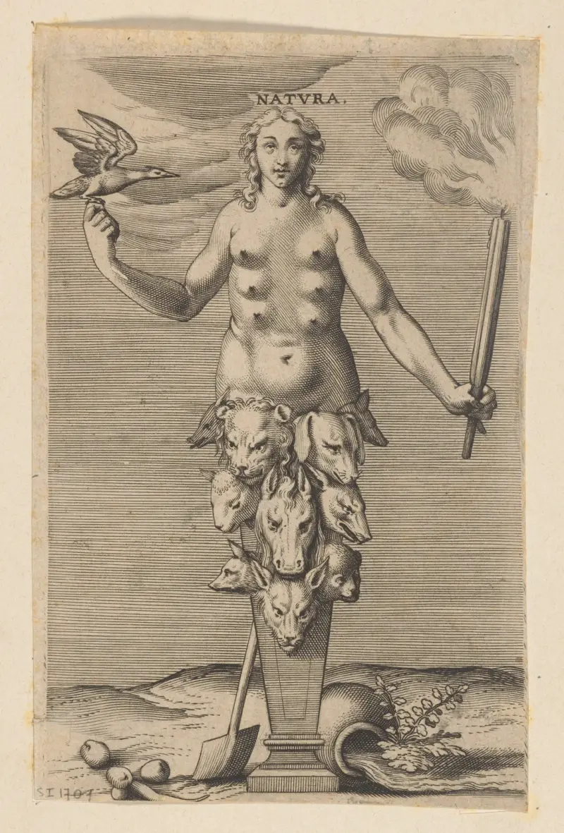 Natura von Philip Galle