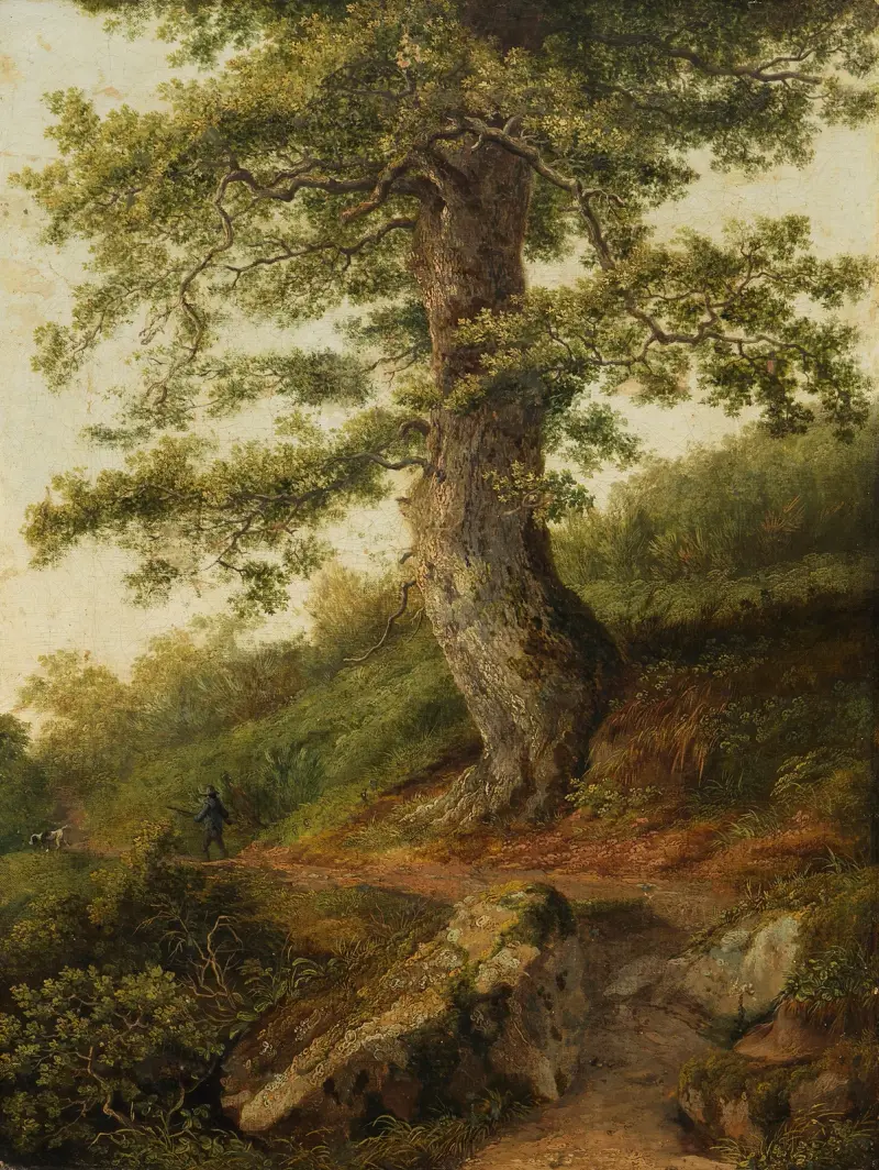 Starý olivovník u Camaldoli, Jacob Philipp Hackert
