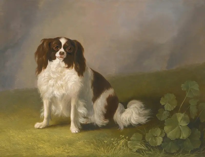 Porträtt av en King Charles-spaniel i landskap av Jacob Philipp Hackert