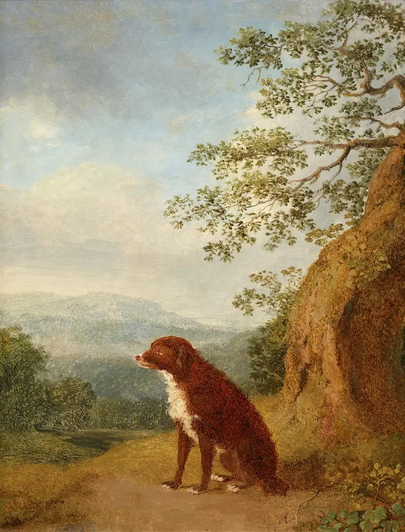 Sitzender Hund in Landschaft von Jacob Philipp Hackert