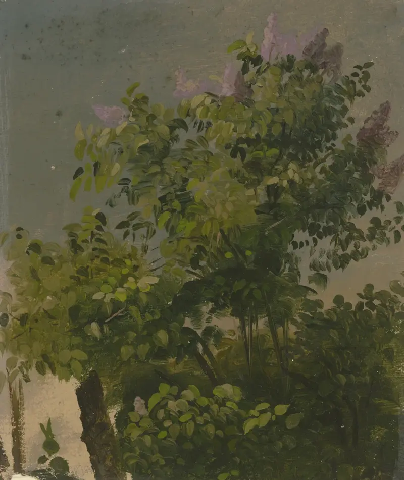 Blommande syrenbuske av Philipp Rumpf