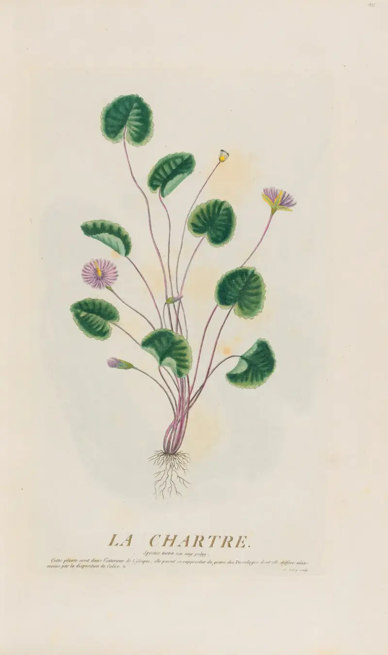 La Chartre, Pierre Philippe Alyon