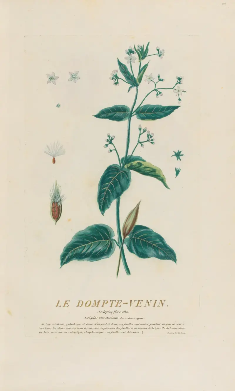 Krotitel jedu, Pierre Philippe Alyon