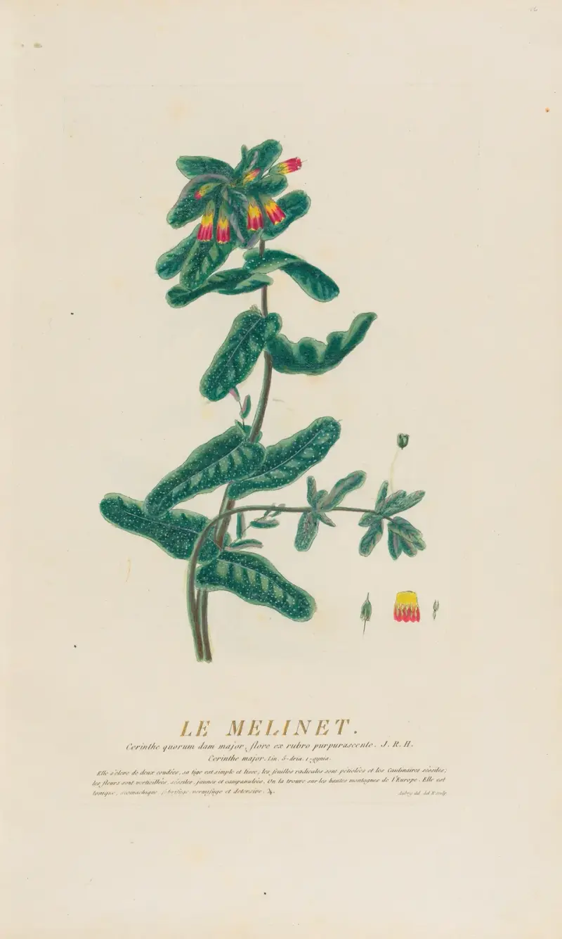 Le Melinet, Pierre Philippe Alyon