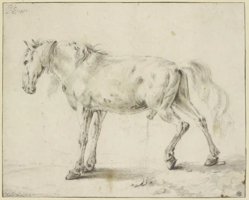 Močící kůň, Philips Wouwerman