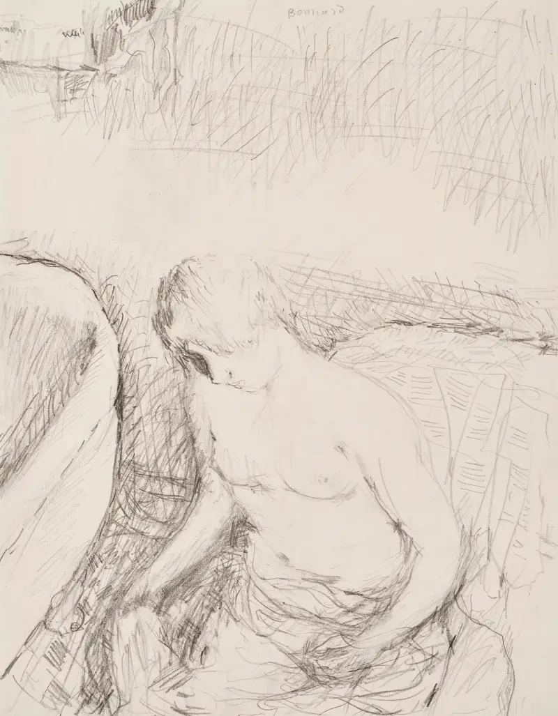 Jeune femme à sa toilette av Pierre Bonnard