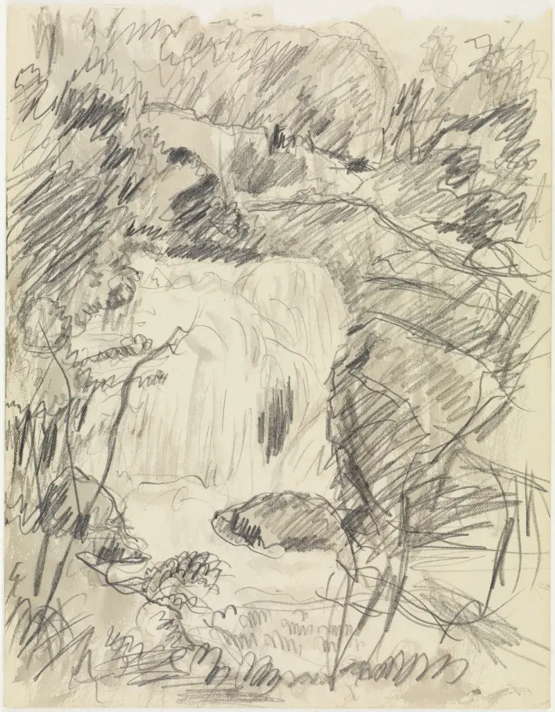 Vodopád, Pierre Bonnard
