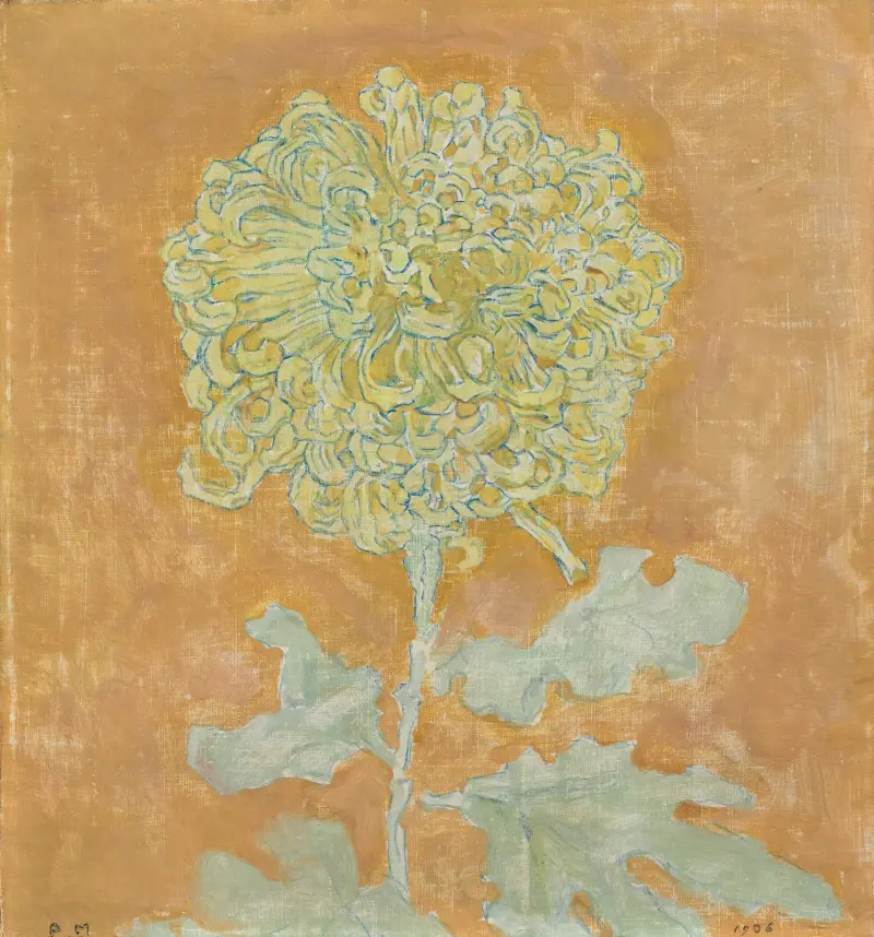 Chryzantéma, Piet Mondrian