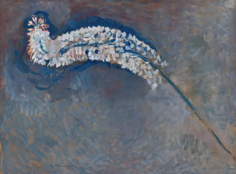 Fuchsschwanzlilie von Piet Mondrian