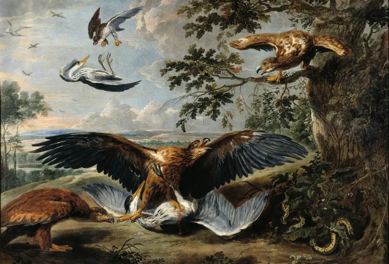 Kampf zwischen Adlern von Pieter Boel