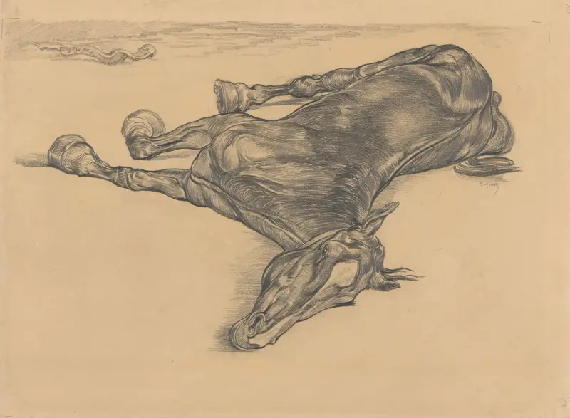 Totes Pferd, 1880 von Pieter Dupont