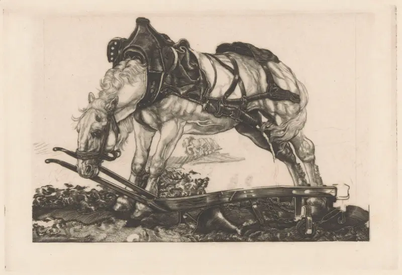Rastendes Zugpferd von Pieter Dupont