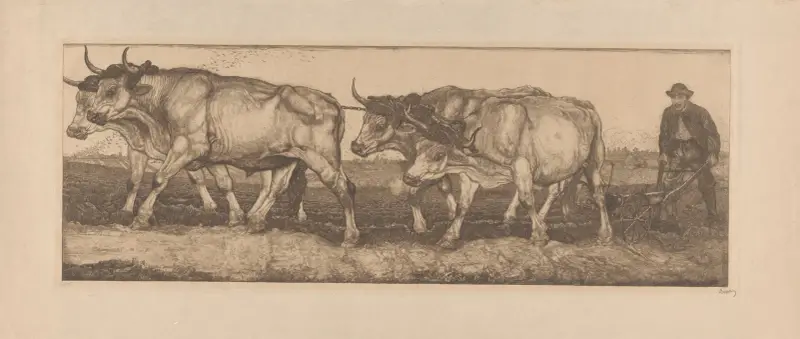 Dragande oxar av Pieter Dupont
