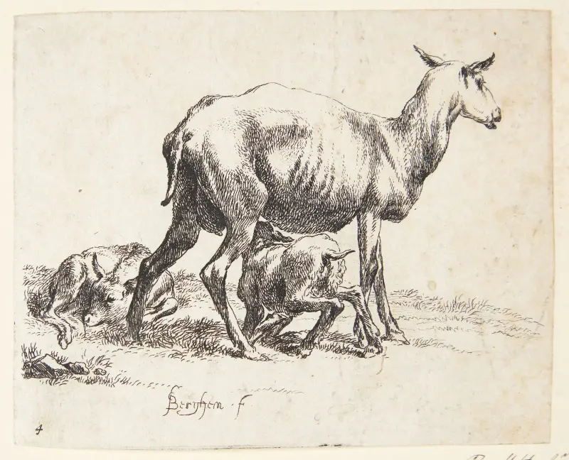 Barberaren får med två lamm av Nicolaes Pietersz. Berchem