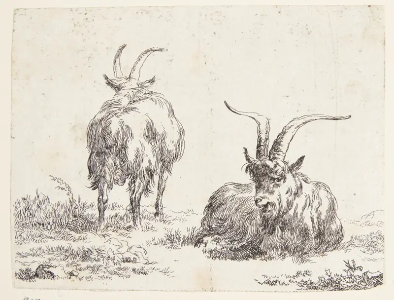 En liggande get och en stående get sedda bakifrån av Nicolaes Pietersz. Berchem