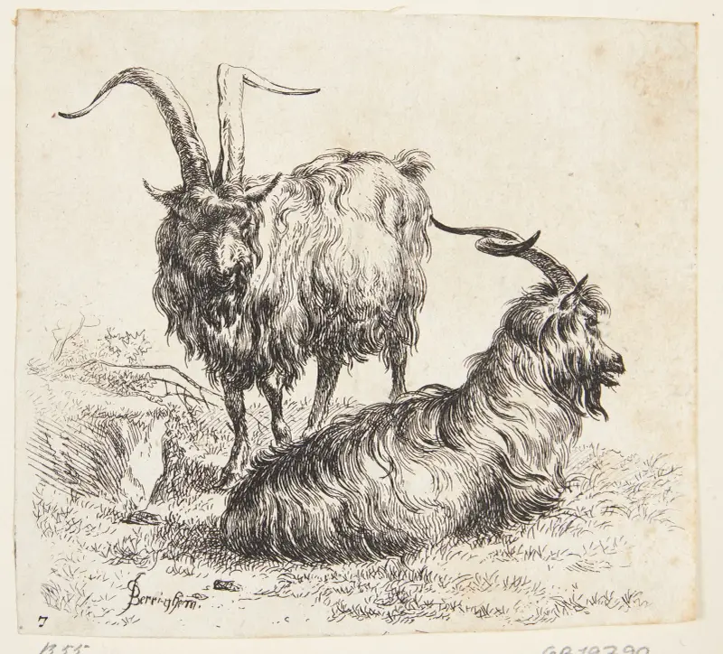 En stående och en liggande get av Nicolaes Pietersz. Berchem