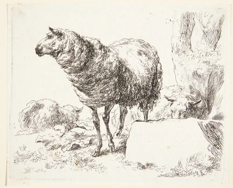 Ett stående får av Nicolaes Pietersz. Berchem