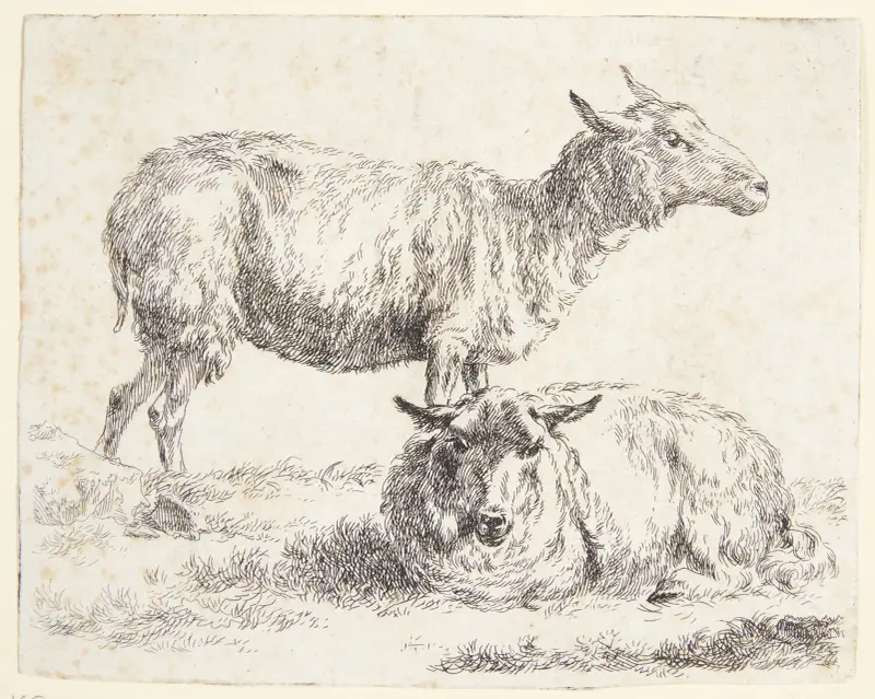 Stojící a ležící ovce – č. 2, Nicolaes Pietersz. Berchem