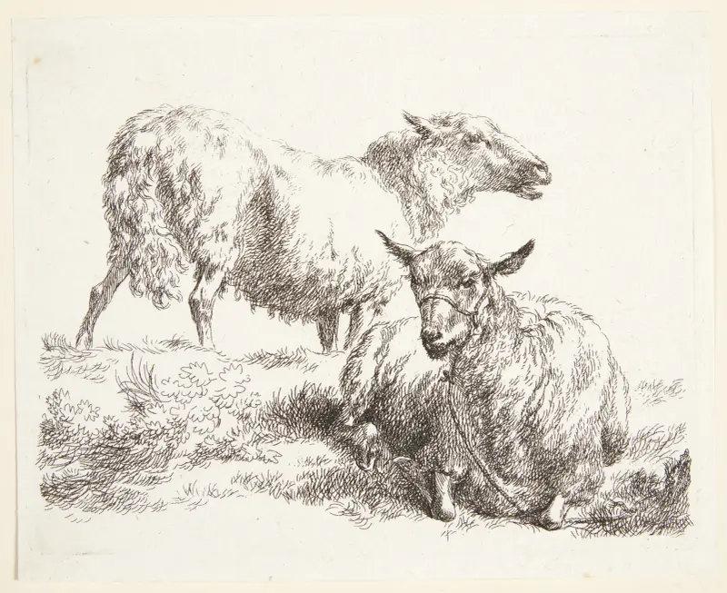 Ett stående och ett liggande får av Nicolaes Pietersz. Berchem
