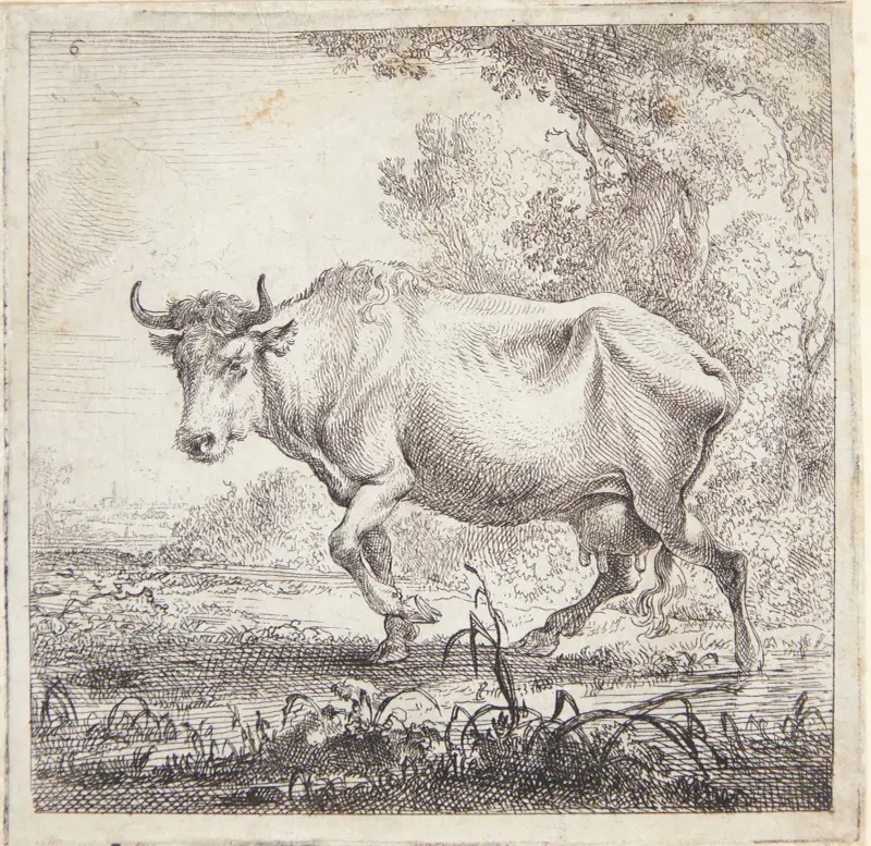 Gående ko av Nicolaes Pietersz. Berchem