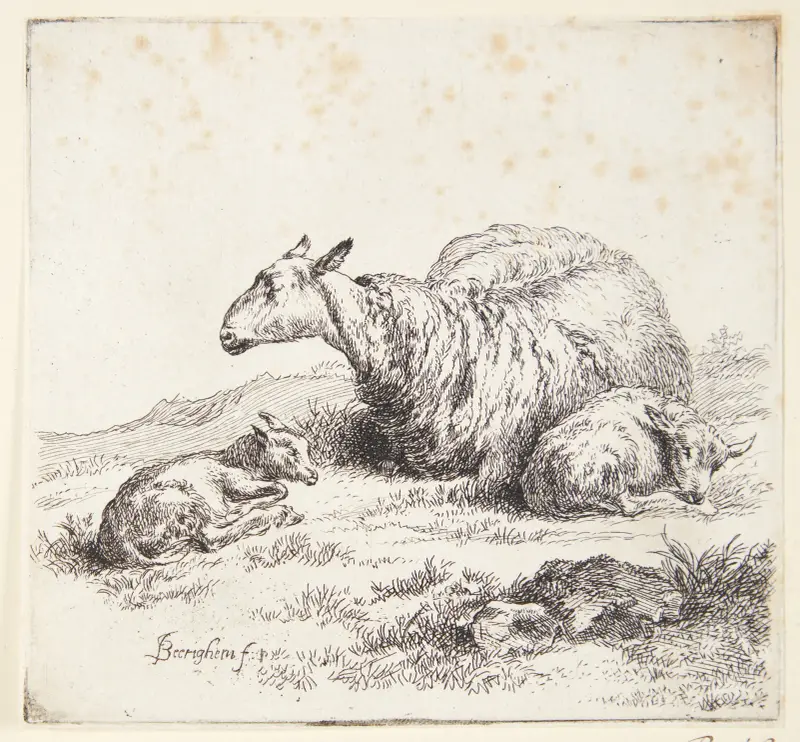 Liggende får med to lam av Nicolaes Pietersz. Berchem