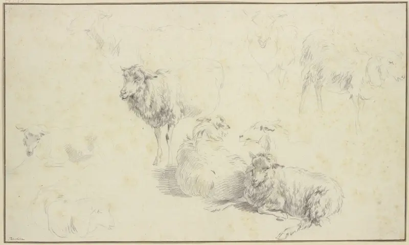 Neun Schafe von Nicolaes Pietersz. Berchem
