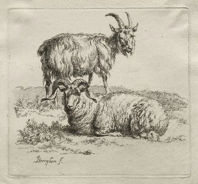Vädur och get av Nicolaes Pietersz. Berchem