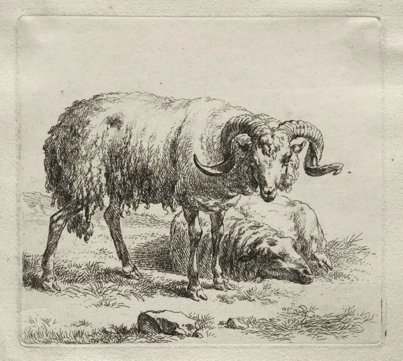 Vädur och får av Nicolaes Pietersz. Berchem