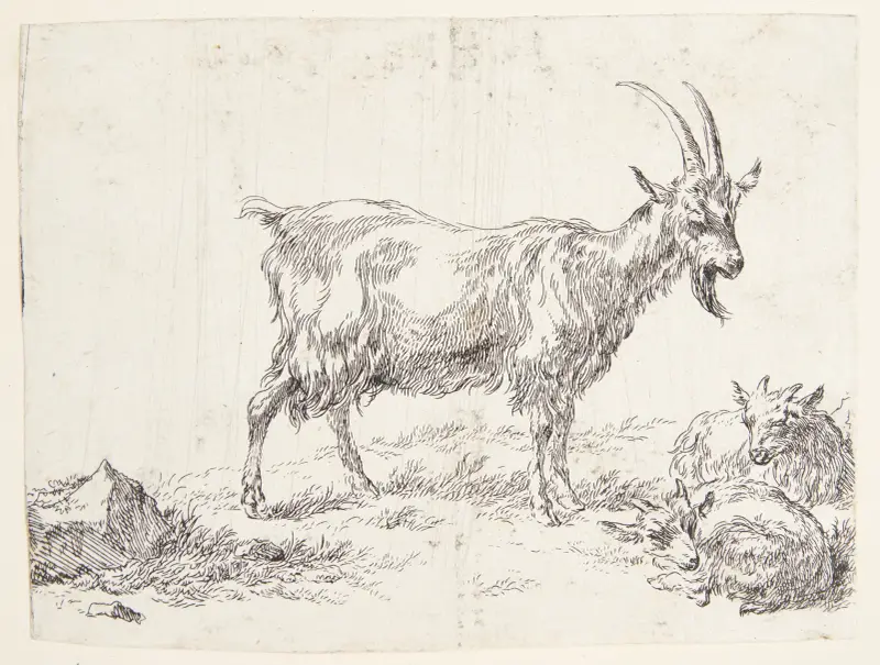 Stående get och getkid av Nicolaes Pietersz. Berchem