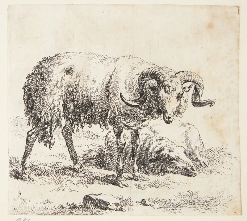 Stående bagge och liggande får 3 av Nicolaes Pietersz. Berchem