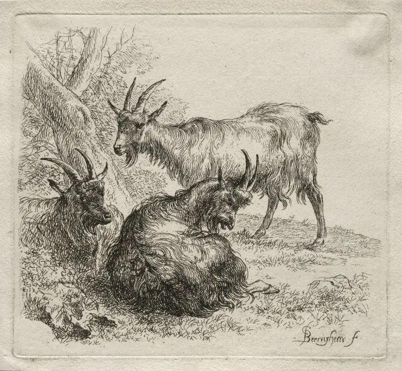 Drei Ziegen, 1635 – Nr. 3 von Nicolaes Pietersz. Berchem