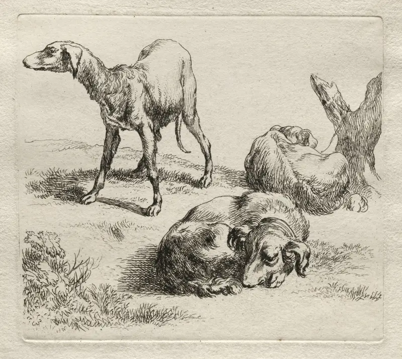 Tre jakthundar av Nicolaes Pietersz. Berchem