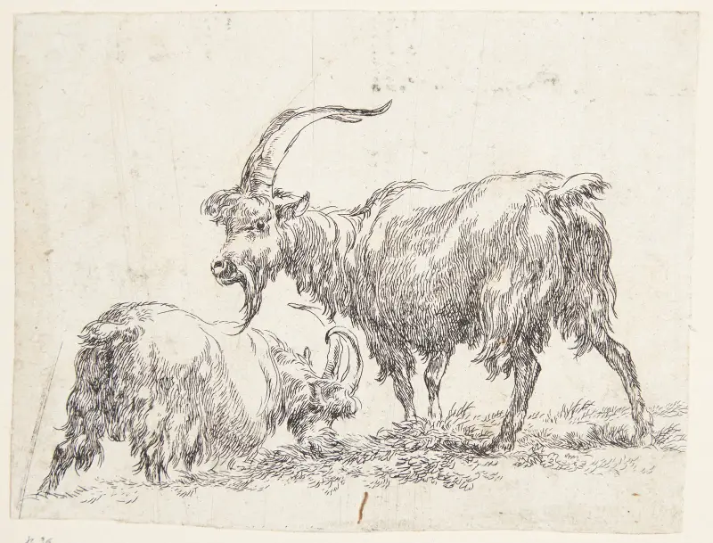 Zwei Ziegen von Nicolaes Pietersz. Berchem
