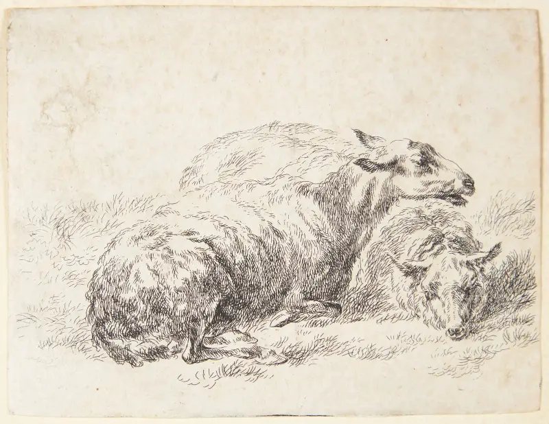 Två liggande får av Nicolaes Pietersz. Berchem