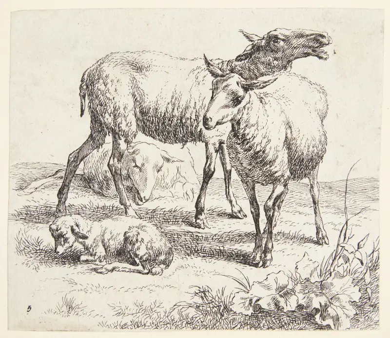 To stående får og et lam av Nicolaes Pietersz. Berchem