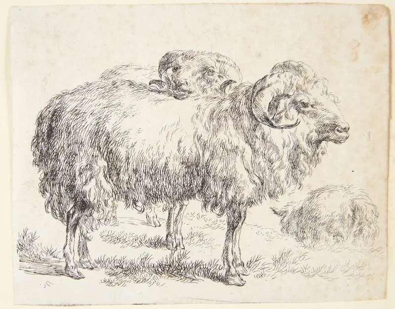 Två baggar av Nicolaes Pietersz. Berchem