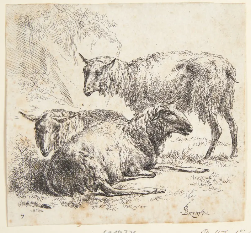 Tre får av Nicolaes Pietersz. Berchem