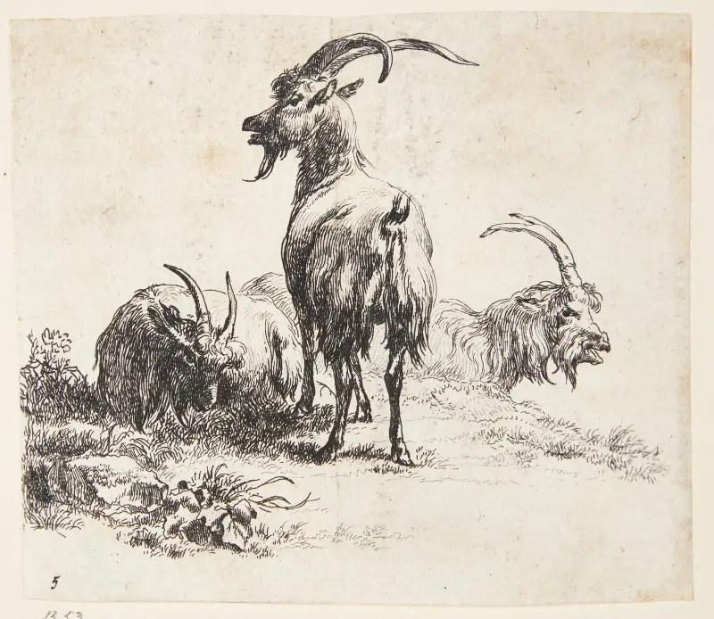 Tre geder av Nicolaes Pietersz. Berchem