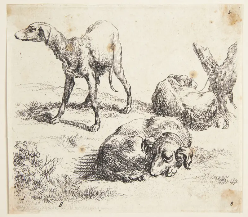 Trzy psy myśliwskie, Nicolaes Pietersz. Berchem