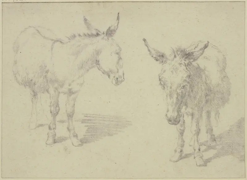 Zwei Esel von Nicolaes Pietersz. Berchem